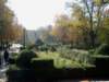 Photo Number 8